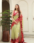 Organza Petal Hand Work Saree🌸
